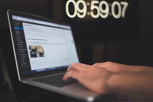 WordPress Website Updating Service